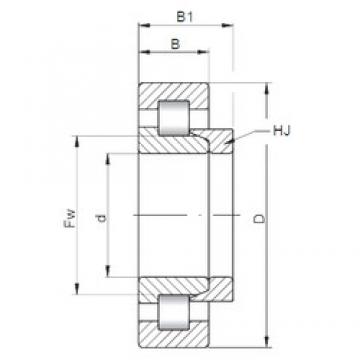 30 mm x 62 mm x 20 mm  ISO NH2206 cylindrical roller bearings