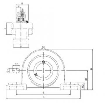 ISO UCP203 bearing units