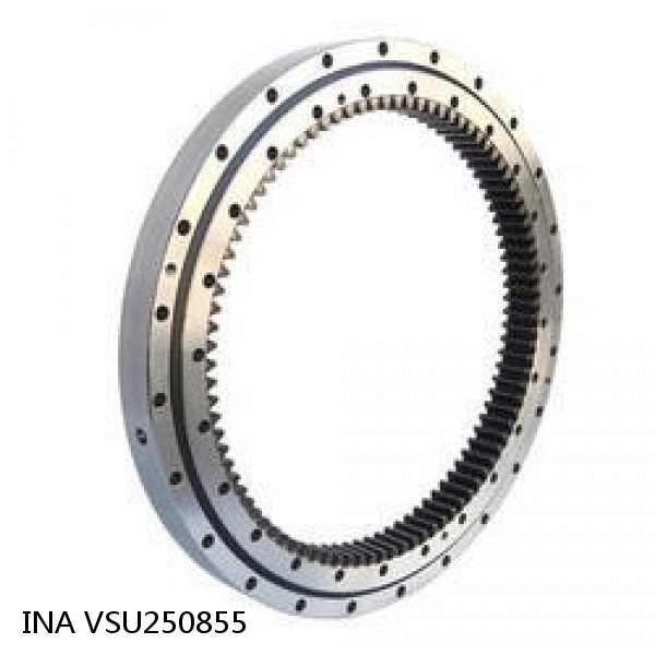 VSU250855 INA Slewing Ring Bearings