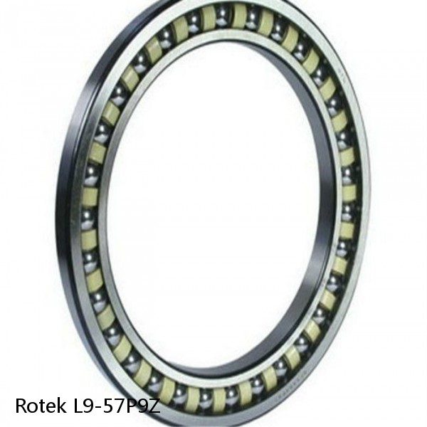 L9-57P9Z Rotek Slewing Ring Bearings