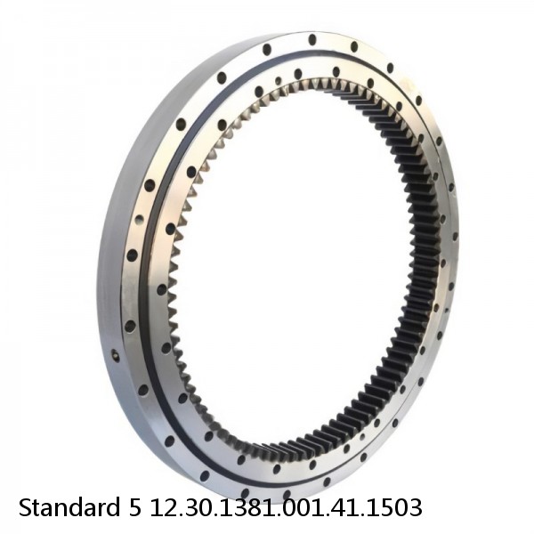 12.30.1381.001.41.1503 Standard 5 Slewing Ring Bearings