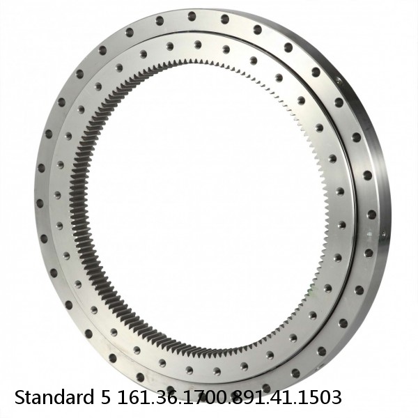 161.36.1700.891.41.1503 Standard 5 Slewing Ring Bearings