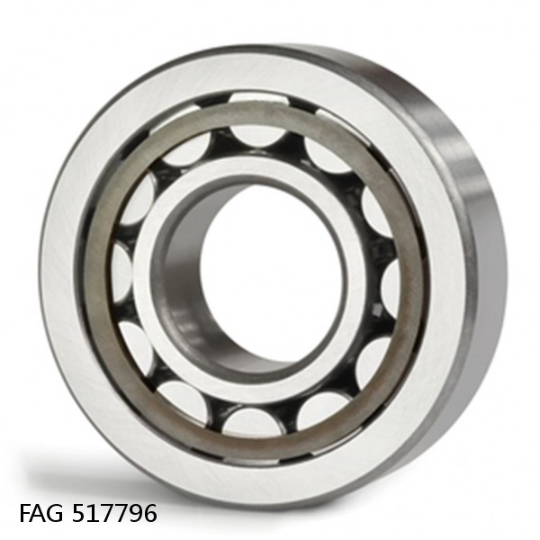517796 FAG Cylindrical Roller Bearings