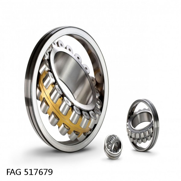 517679 FAG Cylindrical Roller Bearings