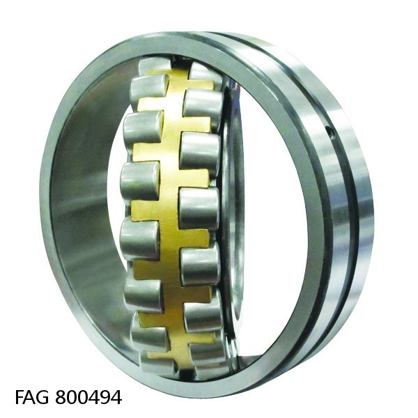 800494 FAG Cylindrical Roller Bearings