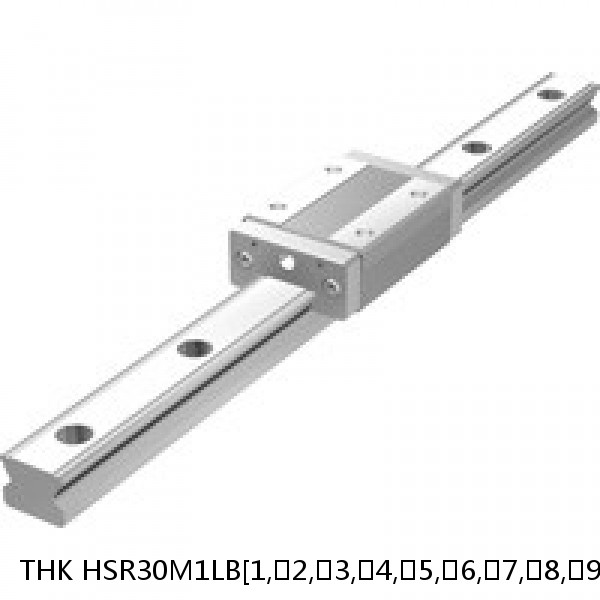 HSR30M1LB[1,​2,​3,​4,​5,​6,​7,​8,​9]C[0,​1]+[135-1500/1]L[H,​P,​SP,​UP] THK High Temperature Linear Guide Accuracy and Preload Selectable HSR-M1 Series