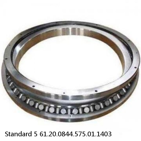 61.20.0844.575.01.1403 Standard 5 Slewing Ring Bearings