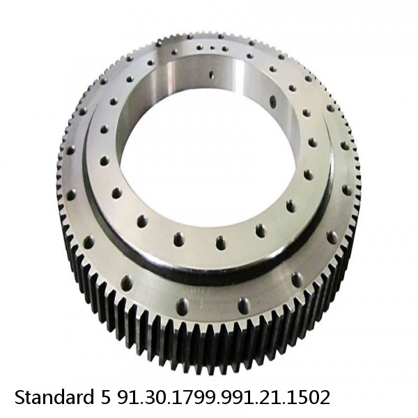 91.30.1799.991.21.1502 Standard 5 Slewing Ring Bearings