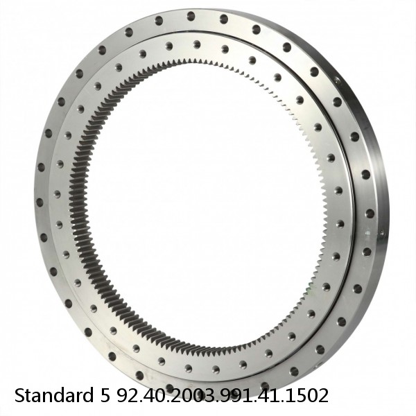 92.40.2003.991.41.1502 Standard 5 Slewing Ring Bearings