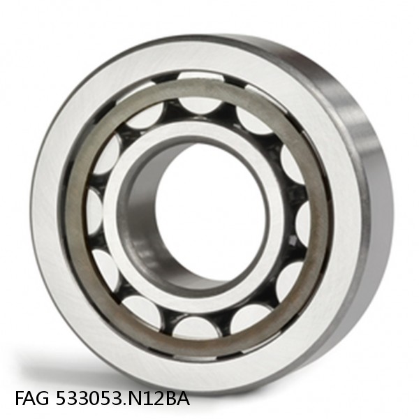 533053.N12BA FAG Cylindrical Roller Bearings