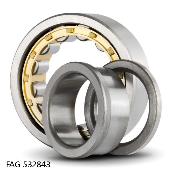 532843 FAG Cylindrical Roller Bearings
